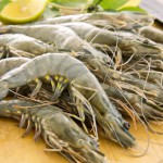 Recette de la semaine – Gambas sautées sauce piquante