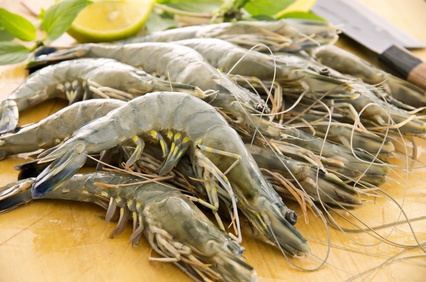 recette gambas