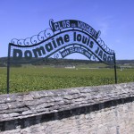 Louis Jadot rachète un vignoble en Oregon (Etats-Unis)