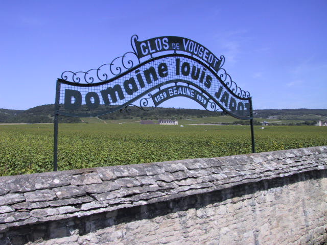 louis jadot