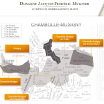 Domaine Jacques-Frédéric Mugnier : envolée des cours dans les ventes aux enchères