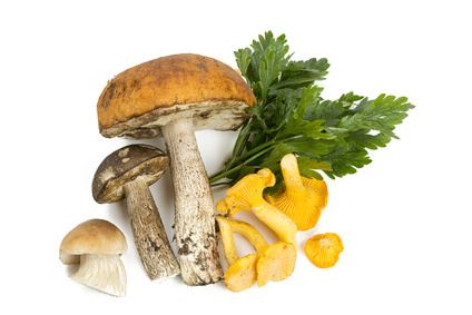 mushroom and parsley leaves