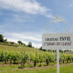 Les  nouveaux chais du Château Pavie s’ouvrent aux visiteurs