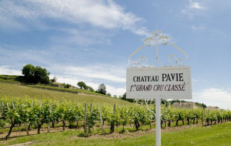 Pavie