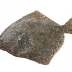 Recette de la semaine – Turbot en papillotes