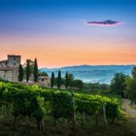 Le TOP 10 des vins italiens les plus chers