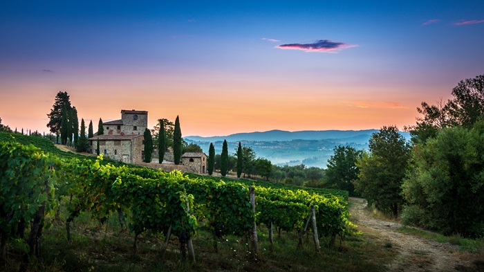 vin italien le plus cher
vins italiens les plus chers
vin italien cher
vin italien connu