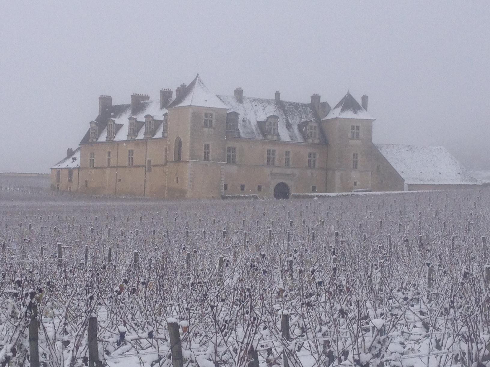 Lire la suite à propos de l’article Vers une pénurie des vins de Bourgogne?