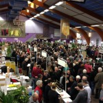 Marché aux vins d’Ampuis : syrah, viognier et petits pépés