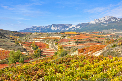 Rioja