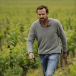 Thierry Germain l’homme (bio) dynamique de Saumur-Champigny