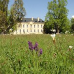 Le propriétaire de Château Latour investit à Pomerol et Saint-Emilion