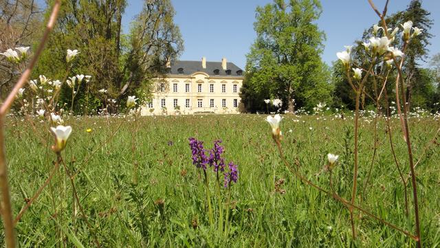 CHATEAU LATOUR POMEROL SAINT-EMILION