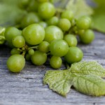 Les vendanges en vert, à quoi ça sert ?