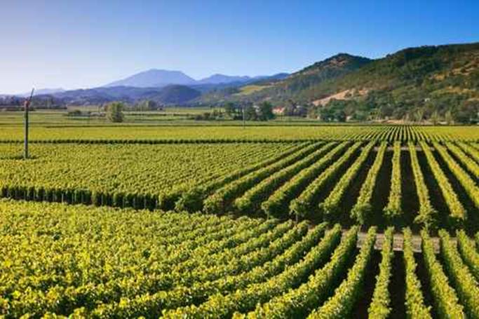 Lire la suite à propos de l’article Les exportations de vins américains atteignent des sommets en 2013