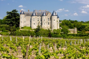 loire vignes château vente aux enchères