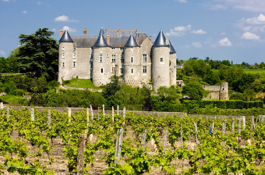 Lire la suite à propos de l’article Vallée de la Loire : l’interprofession se réjouit d’une notoriété grandissante