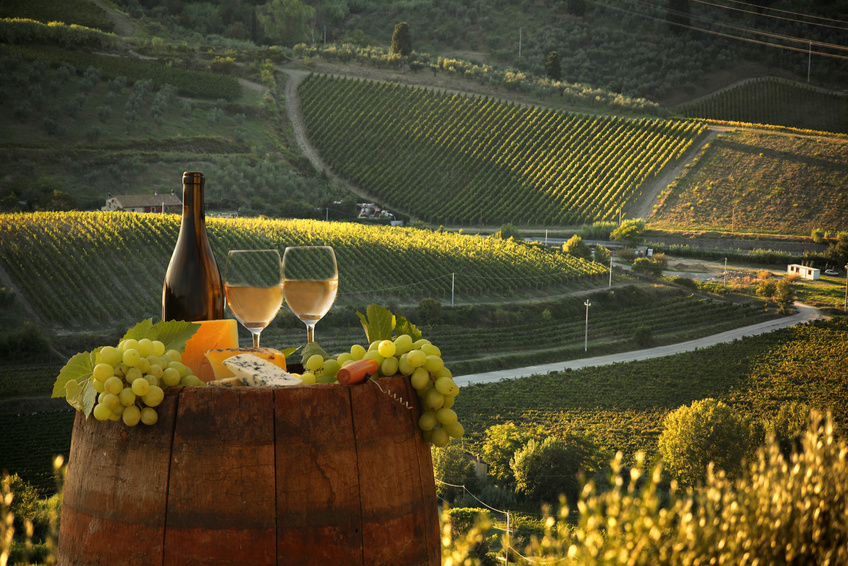 White wine with barell  in vineyard, Chianti, Tuscany, Italy