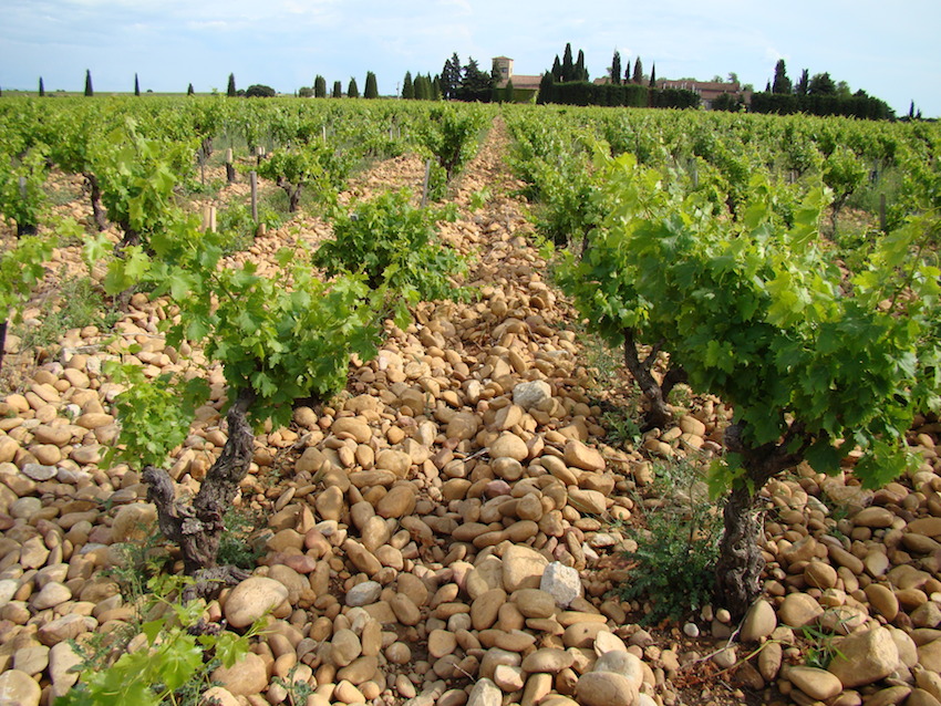 Lire la suite à propos de l’article Vente à prix fixe : tout savoir avant d’acheter un châteauneuf-du-pape !