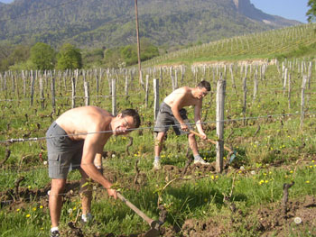 frères Giachino David et Frédéric