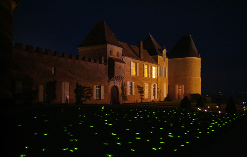 Pas de primeur 2013 pour le Château d’Yquem