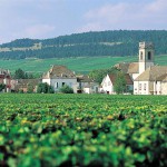 Bientôt de nouveaux grands crus en Bourgogne ?