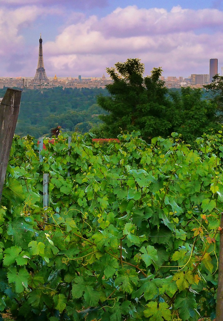 vin de suresnes - tour eiffel