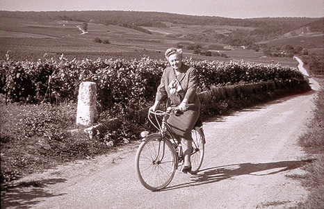 Madame Bollinger sillonnant les vignes d’Aÿ