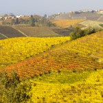 Des vignobles du Piémont classés patrimoine mondial de l’humanité