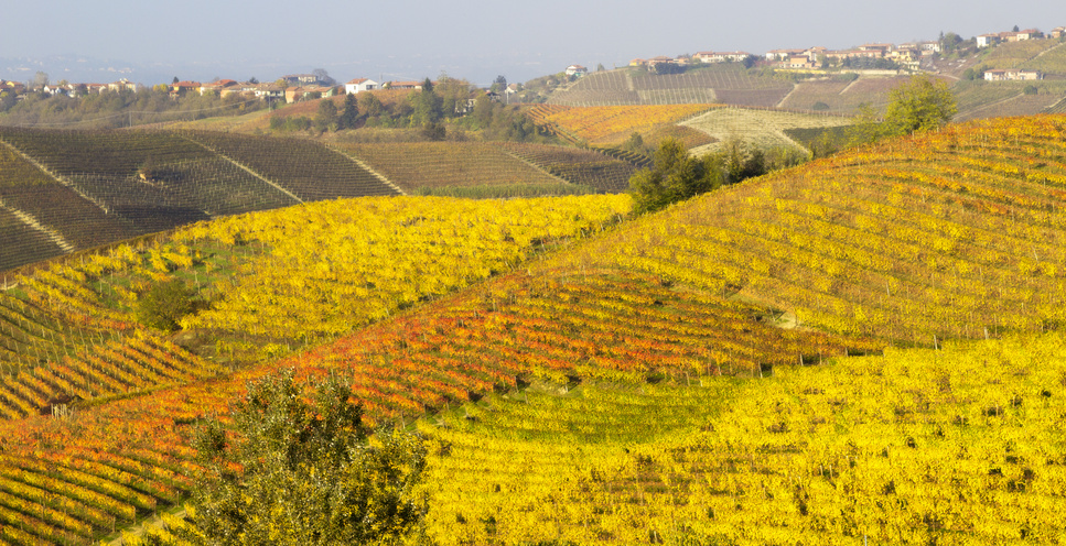 Lire la suite à propos de l’article Des vignobles du Piémont classés patrimoine mondial de l’humanité