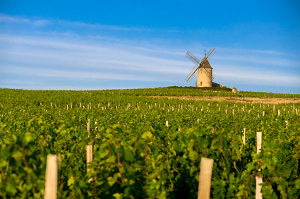 Beaujolais moulin