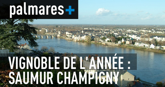 Lire la suite à propos de l’article Saumur-Champigny élu vignoble de l’année par Bettane & Desseauve