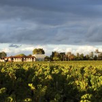 Le déclassement des Hauts de Pontet (second vin de Pontet-Canet) : du rôle parfois navrant des AOC