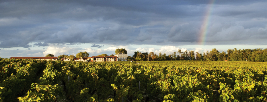 Lire la suite à propos de l’article Le déclassement des Hauts de Pontet (second vin de Pontet-Canet) : du rôle parfois navrant des AOC