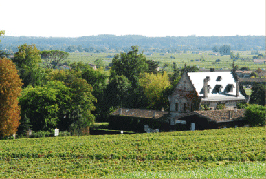 Lire la suite à propos de l’article La famille Malet Roquefort, propriétaire de Château la Gaffelière, rachète son voisin