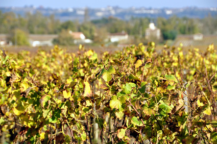 Lire la suite à propos de l’article Sauternais : grève de bon sens pour la ligne TGV