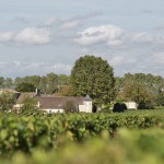 Château Bourgneuf, la bonne affaire de Pomerol