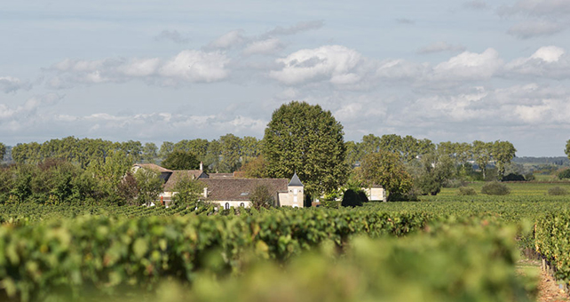 Lire la suite à propos de l’article Château Bourgneuf, la bonne affaire de Pomerol