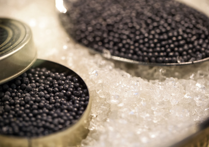 Lire la suite à propos de l’article Quels vins servir avec du caviar ?