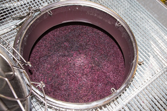 maceration-raisin-rouge-champagne