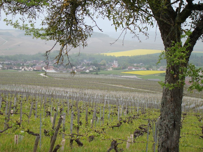 Chablis Village