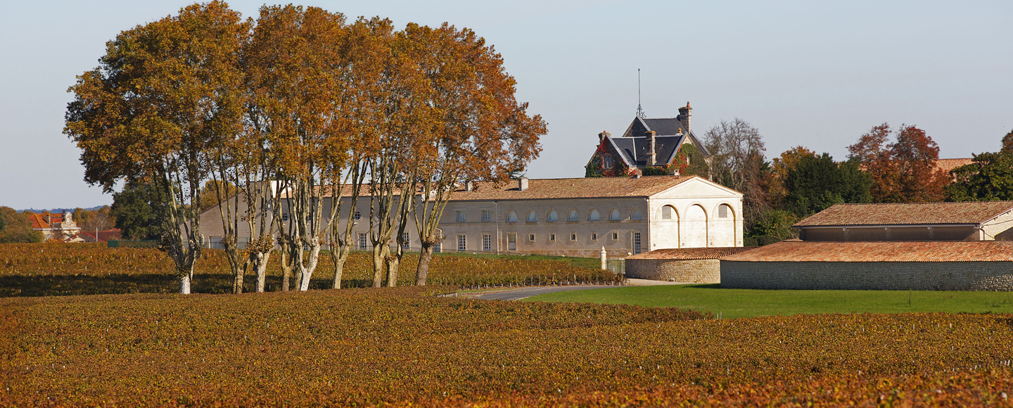 Mouton-Rothschild-Automne1
