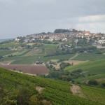 Hiérarchie des terroirs, accords met et vins, tout savoir sur Sancerre !