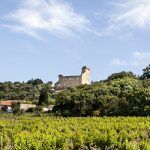 Domaine du Vieux Donjon, un grand châteauneuf, mais rare sur le marché