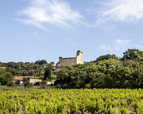 Lire la suite à propos de l’article Domaine du Vieux Donjon, un grand châteauneuf, mais rare sur le marché