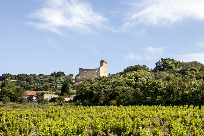 Chateauneuf du pape vin Vieux Donjon iDealwine