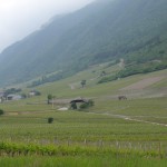 Appellations, accords mets et vins, tout savoir sur les vins de Savoie