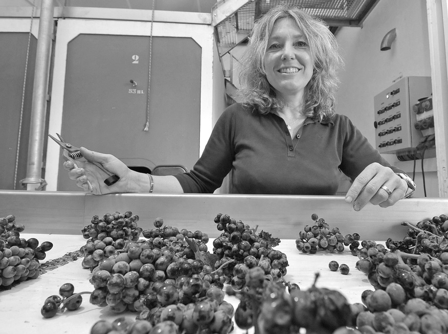 Lire la suite à propos de l’article Domaine de Saint-Préfert, valeur sûre de Châteauneuf-du-Pape