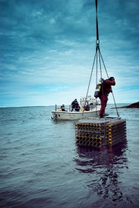 Bouteilles de champagne mer Baltique