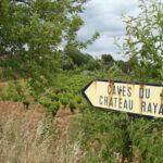 Château Rayas, Pignan, Fonsalette, Pialade : les chefs-d’œuvre d’Emmanuel Reynaud